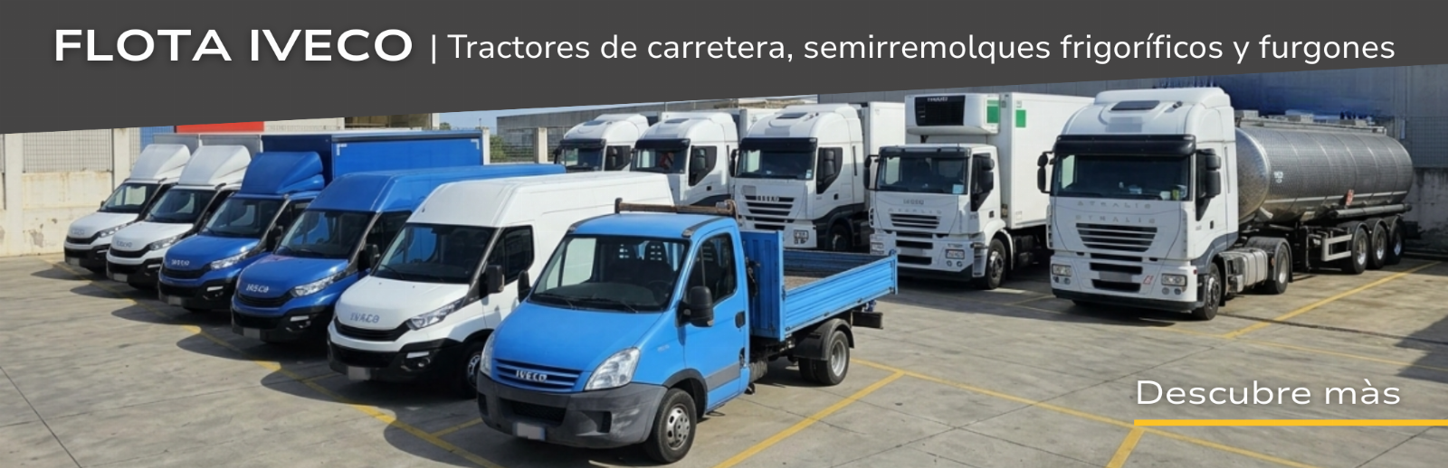 Tractores de carretera, semirremolques frigoríficos y furgones IVECO - Administración Judicial 83/2022 - Tribunal de Reggio Calabria